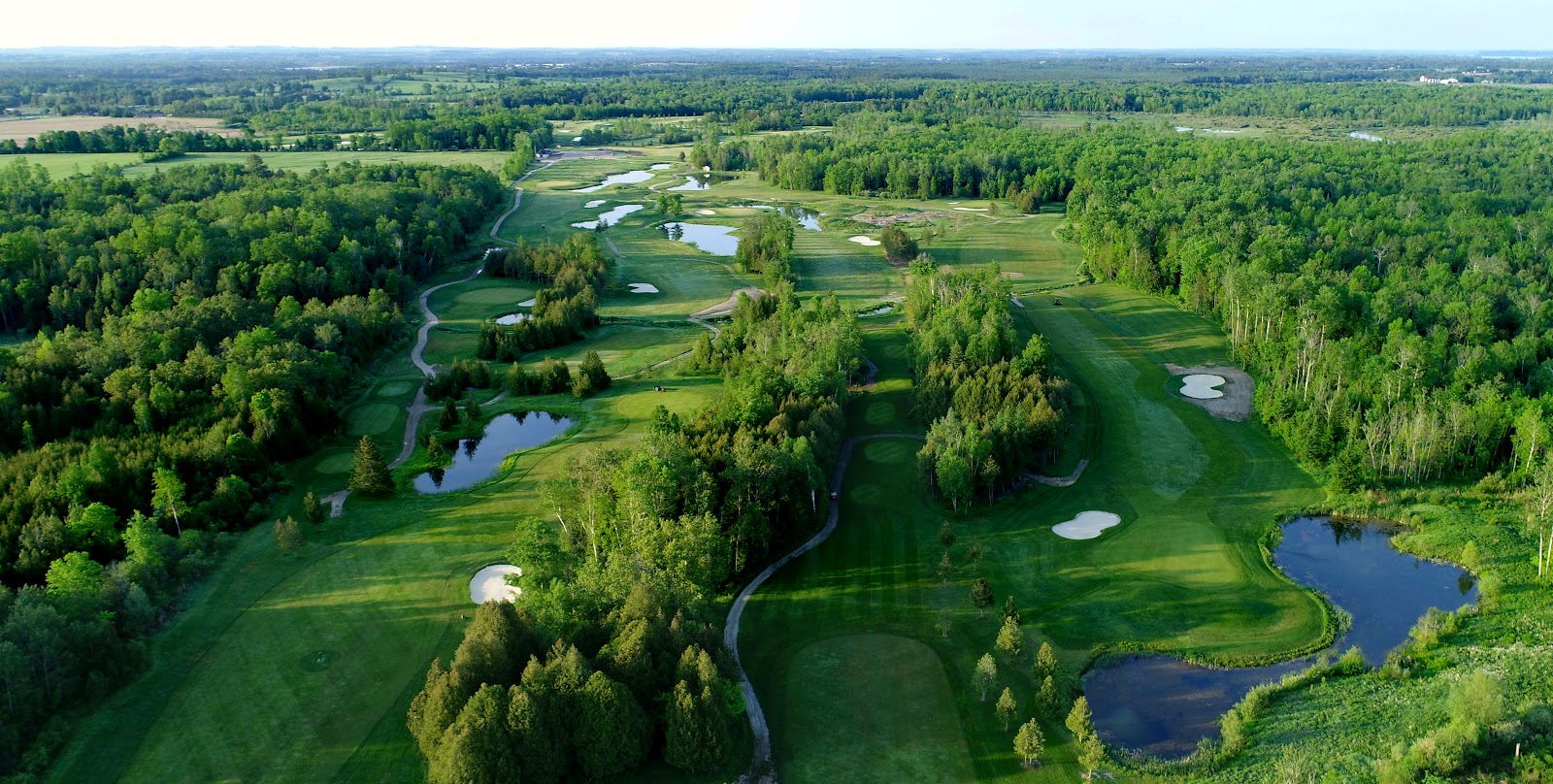 Cardinal 18 Golf Club