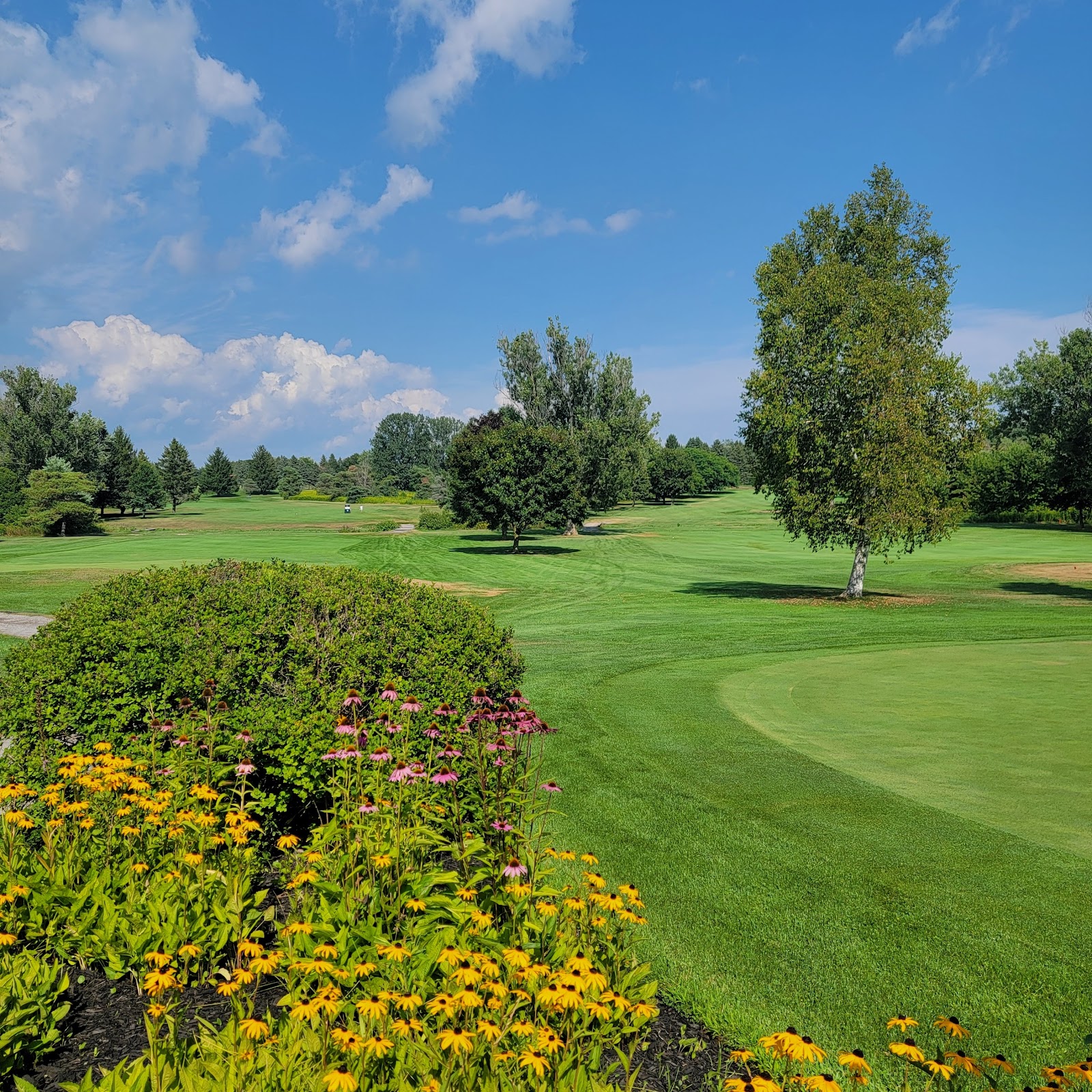 Dalewood Golf Club