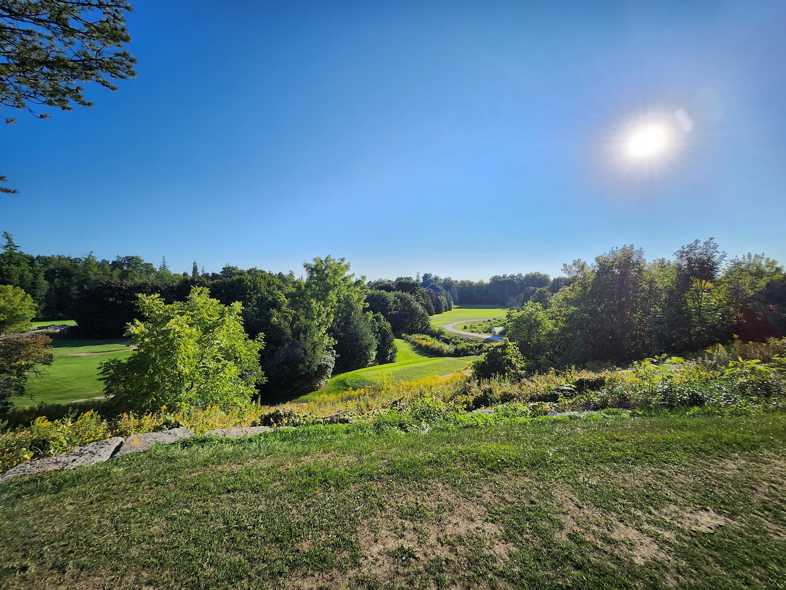 Markham Green Golf Club
