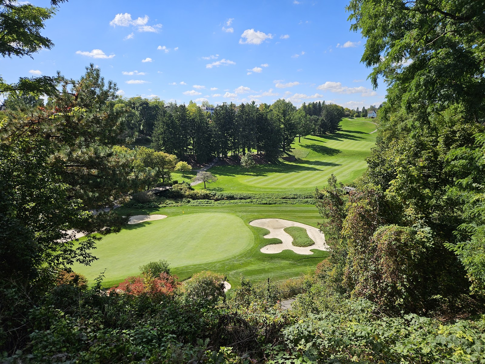 The Thornhill Club