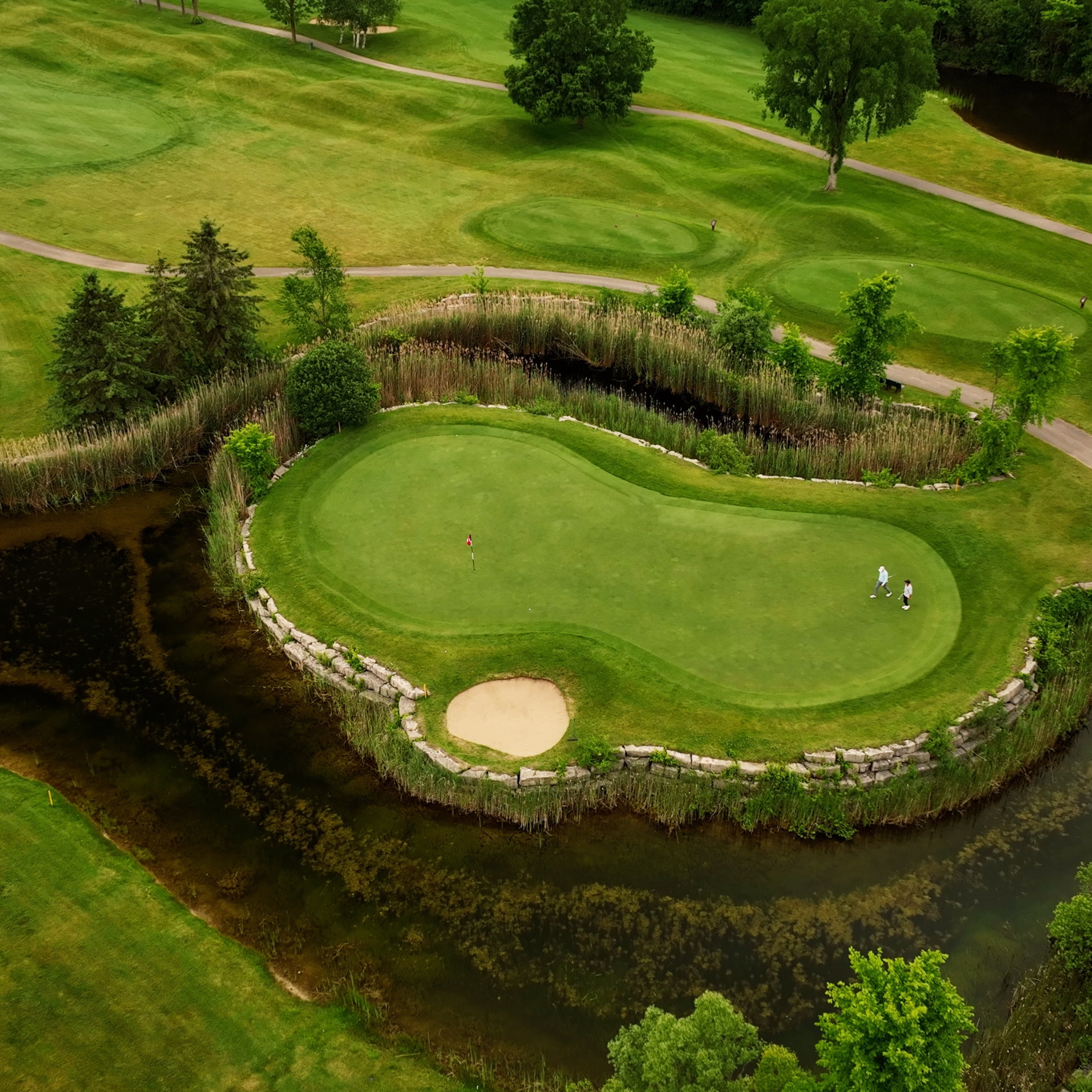 Island-style hole at Deer Creek Golf Course, Ajax